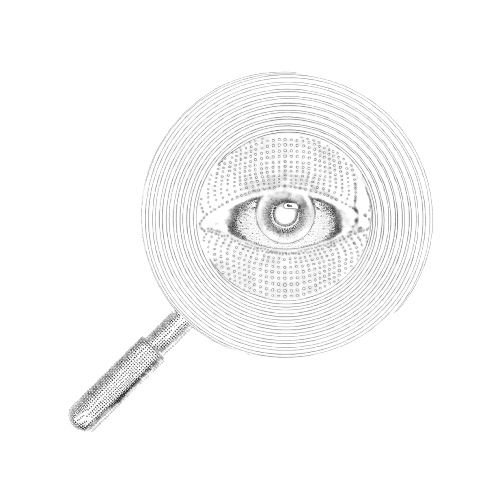 Privacy Explorer Background